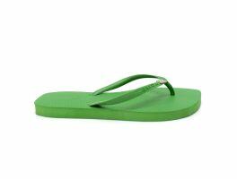 Chinelo Arezzo Brizza Z19062 (33-40) - Floresta Jelly 0011 0006U 