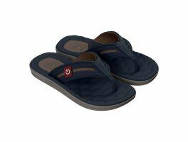 Chinelo Cartago Egeu Iv 12530 (37-44) - Azul Marrom Bs990
