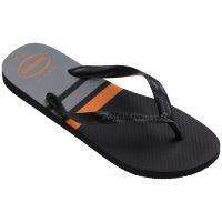 Chinelo Havaianas Color Essential Aço Masculino