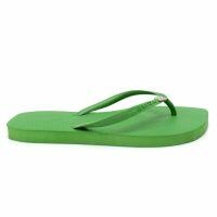 Chinelo Arezzo Brizza Z19062 (33-40) - Floresta Jelly 0011 0006U 