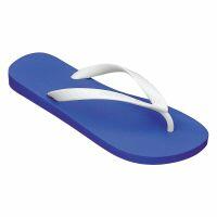 Chinelo Ipanema Clássica 05320 (37-44) - Azul Branco 20718 