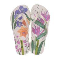 Chinelo Ipanema Sem Igual 25483 (33-40) - Bege Bl637