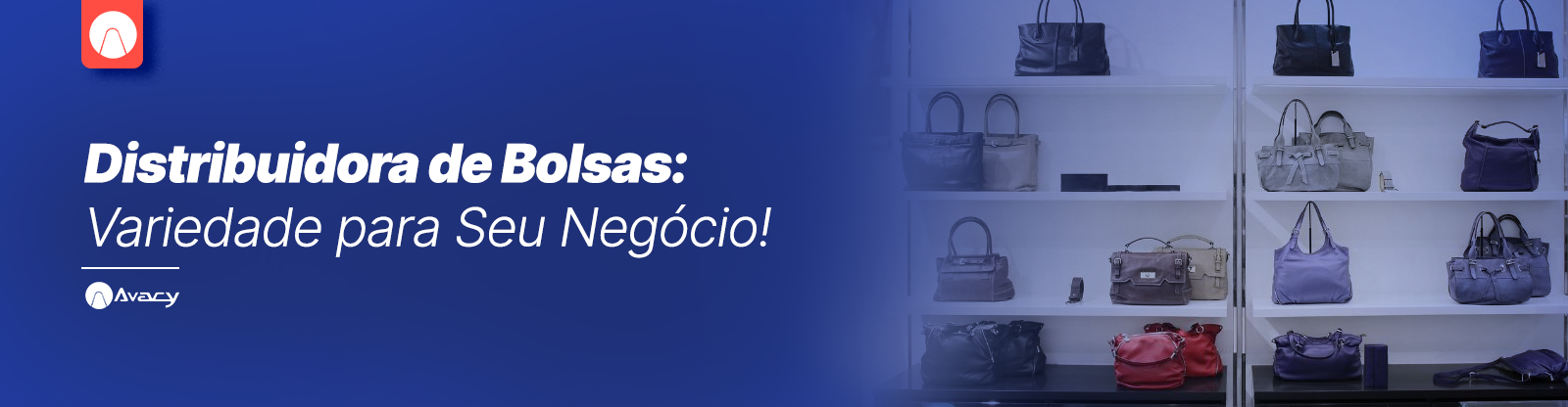 Distribuidora de Bolsas: Variedade para Seu Negócio!