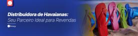 Distribuidora de Havaianas: Seu Parceiro Ideal para Revendas
